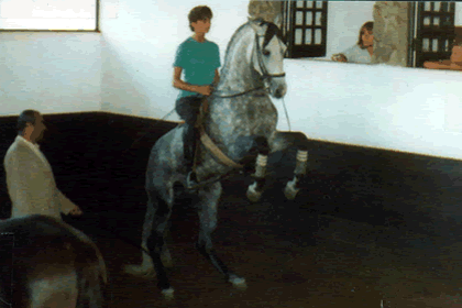 Maestro Trabucco L.Entrenment Aux Mas Releve's Pesade '88 