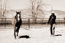 Work your horse on a lunge line at a trot. Have an observer stand so that she can see any lateral deviation of the legs or note if your horse is unweighting the inside foreleg. 