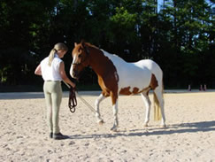 Kimberly gently picks up her pony's front foot, practicing her "Puppet Horse" moves.