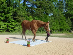 Kelly encourages her pony to cross over the"lake."