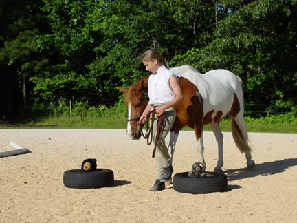 Kelly navigates through critters burrows with her pony. 