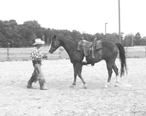 Body position, energy, and other non-contact signals can influence the horse to shift his weight back over his hocks, ready to move out with collection. If your energy and focus are directed backward for the horse, he'll back up to follow that feel.