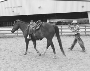 Bill's energy and angle at Abe's hindquarter tell the horse to move out, while his active hands tell him to travel straight, not to draw in.