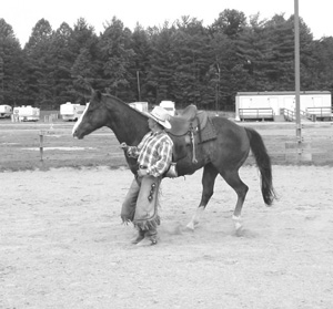 When the horse is connected, he feels your energy and pace, and stays connected even through rapid transitions. 