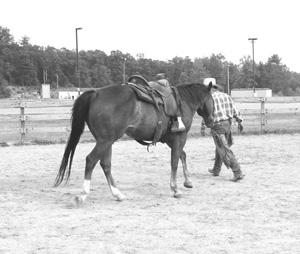 Working without a physical connection is a great way to assess whether the horse is with you by willing choice. 
