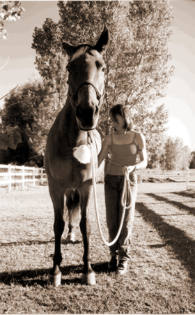 One way to find your horse's pulse is to press the back of your hand deep and firmly behind your horse's left elbow. 