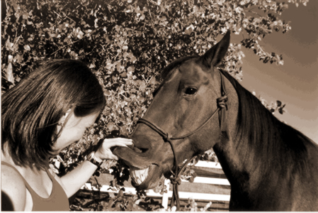 Work with your horse until he will allow you to curl his upper lip back and expose the pink mucosa, and stay. 