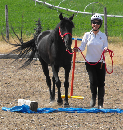 Carol Anderson and her Morgan filly. 