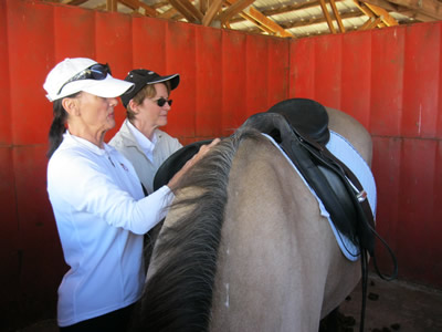 Two of Susan's students saddling a horse in preparation for one of them to compete in an introduction to dressage class at a show. 