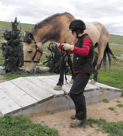 One of Susan's students taking Rawhide over the bridge. 