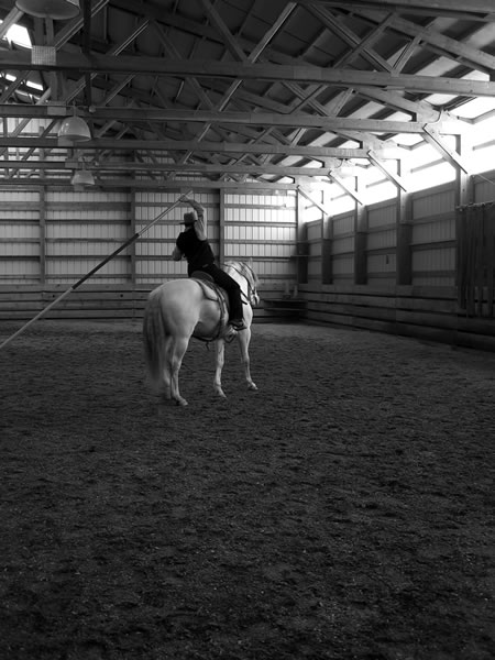 Learning to use the garrocha requires timing, balance, focus, and a clear picture of what you are wanting to accomplish. Necessary maneuvers include straight on a circle, turn on the haunches, leg-yield, half-pass, eventually canter pirouette, and flying lead changes in-line or tempie changes