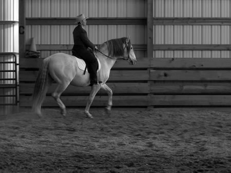 Alice riding Encantador in non-traditional English saddle. The versatility of the PRE is proving beneficial in many disciplines. Their ability to perform the High School maneuvers makes them particularly suited for Classical Dressage.
