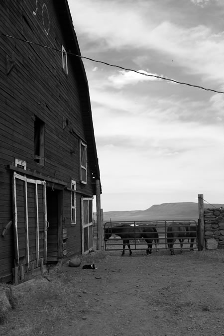 The Alvord's big red barn