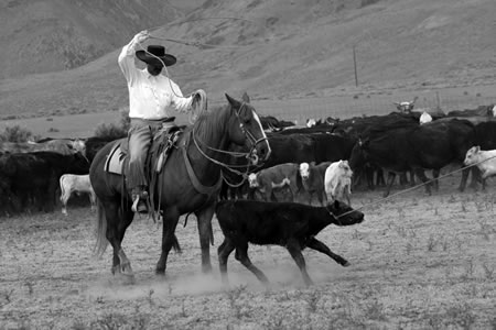 Pedro Márquez strikes a classic ranching pose.
