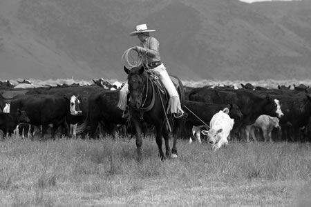 Sheri Balzer dragging a calf