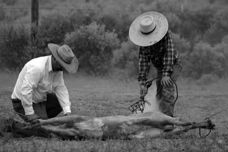 Owner Paul Davis and his son Cody work the ground