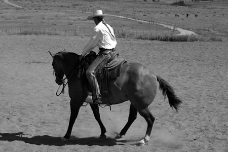 1. Once my horse is backing straight and soft, I will ask her to back a right circle by taking my right leg back slightly, turning my body slightly to the right. My left leg will hang in place. Then I will widen my right hand. (Note the amount of engagement in this photo: Sally's right hind leg is very close to her center of gravity.)