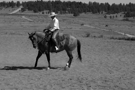 8.In this photo, she has her reaching pair of legs on the ground, and her backing pair of legs are stepping straight back. You can see that I have the flexion with my inside rein, and my outside rein is slightly forward but is still telling her to come back.