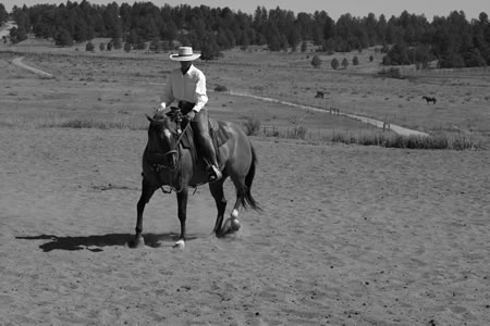 This photo clearly illustrates the proper amount of lateral and longitudinal flexion for this horse in this exercise.