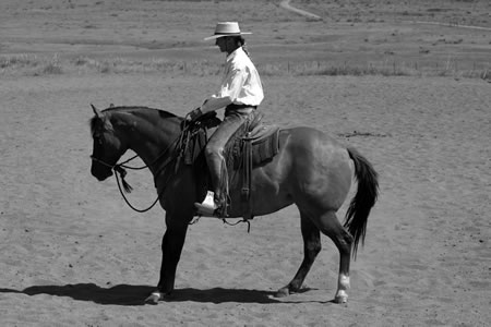 Photo (B.) shows that I'm getting ready to change from left flexion to right flexion. You can see my head is still to the left. I'm still thinking about the left flexion slightly, but I've already started to release her flexion to the left. As I change direction, I straighten my horse, and I straighten my body. I shift my weight to the new outside of the circle. Here I'll shift from my right seatbone, to the center, and then to my left seatbone. I think about my hips being even with her hips and my shoulders being even with her shoulders.