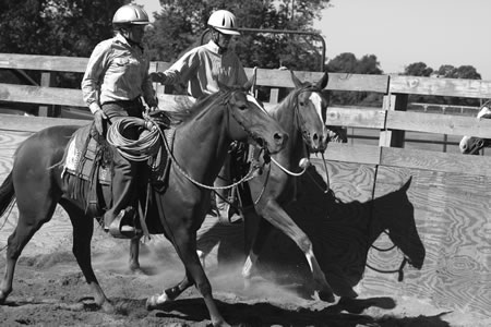 Riders who start colts should be athletic and posses an ability to use their body and aids with precision and good timing.