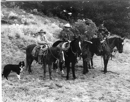 The Christmas Tree Hunter's Return - Luke on Mosquito (far left), 1994