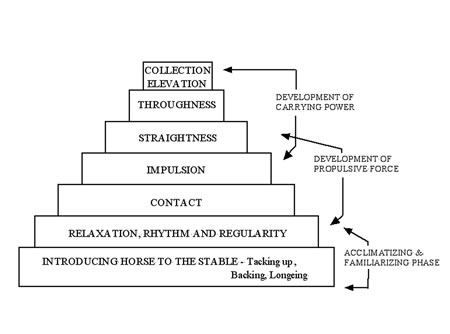 Figure 1: Common Seven Tiered Pyramid of Training