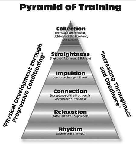 Figure 2: USDF Official Pyramid of Training 2007