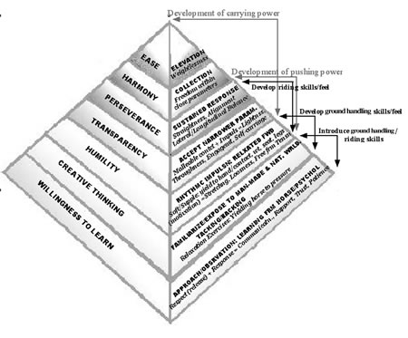 Figure 3: Terry Church's Inclusive Pyramid of Training.