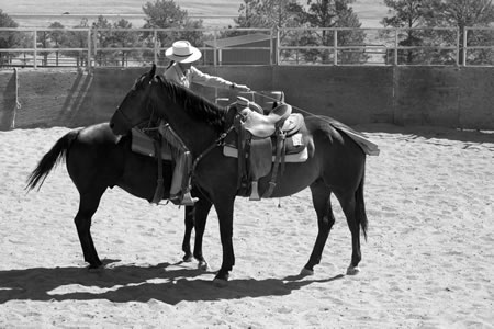 Once Randy had accepted being touched with the flag while loose, I could take the lead rope off of the saddle horn and begin working in closer with the flag. He is getting lots of good exposure and still drawing support from Shadow while we work.