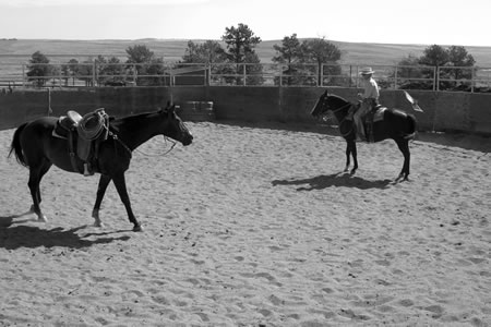 While Shadow and I are out on the big circle, I can work on drawing on Randy's inside eye to move his hind-quarters ...