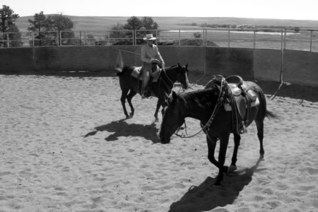 Here is a figure eight through the center of the round pen changing from right to left. I draw so that Randy hooks on enough to come across the center of the pen. Then push on his eye, until he changes eyes and directions. Shadow also is getting experience tracking Randy as he changes directions.