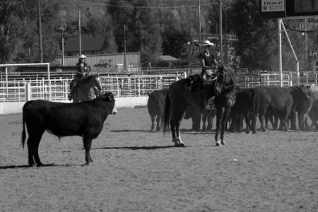 Claire Sibley, Steamboat Spings, Colo.