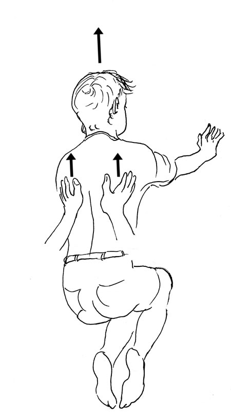 When pressure is applied alternately left and right (right hand sending the ribcage of your "horse" to the left then left hand sending the rib cage of your "horse" right, you will get a swinging action in the rib cage. The "horse’s" head will generally move in the opposite direction of the rib cage. In other words, using alternate pressure of your seat left and right will cause the horse to swing the rib cage side to side, which causes a "waddling" effect resulting in a decrease of forward motion.