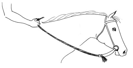 Light contact with mecate and slobber straps. The weight of the rein serves to create the contact with the horse’s mouth rather than a direct contact as with an English rein. Because of the weight, the rider can send signals to the horse through the bit by simply taking up the weight of the mecate.