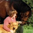 Joyce Harman DVM MRCVS