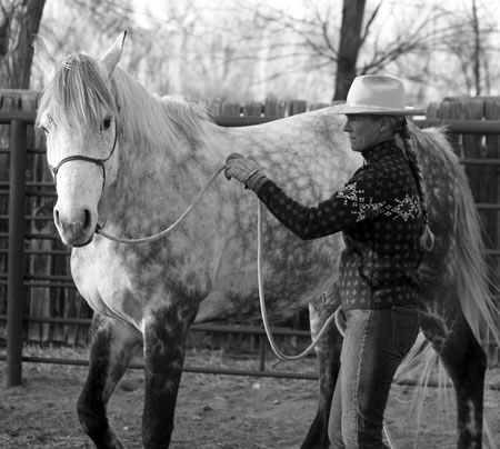 Calypso and Melanie anchoring the gold medal show jumping team at the Los Angeles Olympics in 1984. Photo by Tish Quirk.