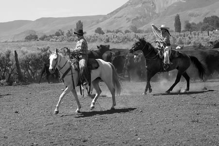 Wade and Amaia branding at the Alvord Ranch.