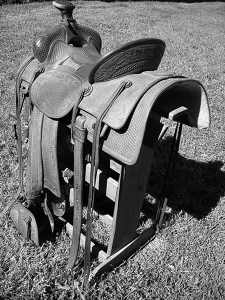 Association ranch saddle