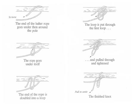 restraint slip knot