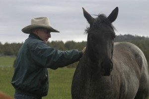 Bryan Neubert checking in on a group of horses.