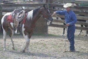 Joe working a colt over at the C Lazy U, Granby, Colo.