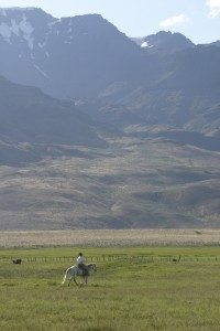 Wade Black rides out to gather before the filming begins in the branding pen.