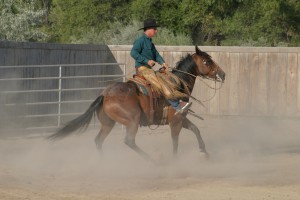 McRoanie, a prime example of a "Special Forces" horse.