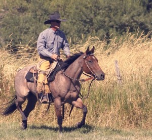 Martin Black, Starr Valley, Nevada. Photo by Emily Kitching