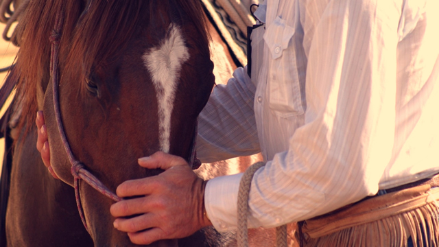 How to Fit a Halter for Showmanship - Horse Illustrated