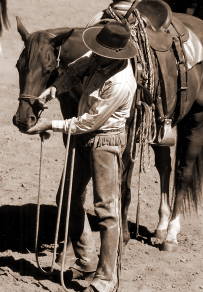 vokal Specificitet hektar Bridling Your Horse with Buck Brannaman – Eclectic Horseman