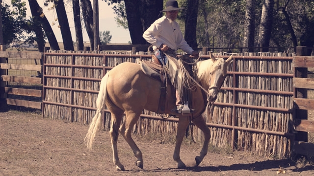 No-Fences Clinic - Western Horseman