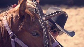 Eclectic Horseman – The Horse Training Resource