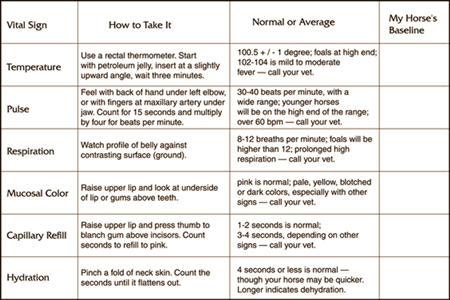 What is the temperature range for a healthy horse?